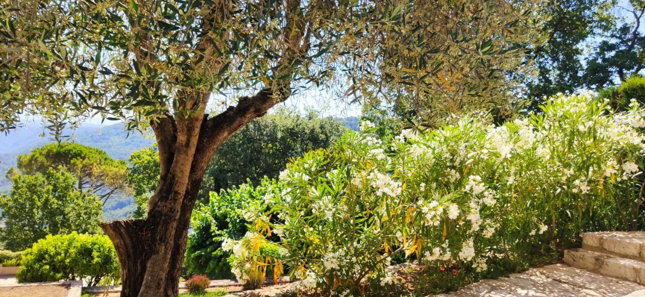 Loup Castel Boutique Hotel B&B Le Bar-sur-Loup Exterior photo